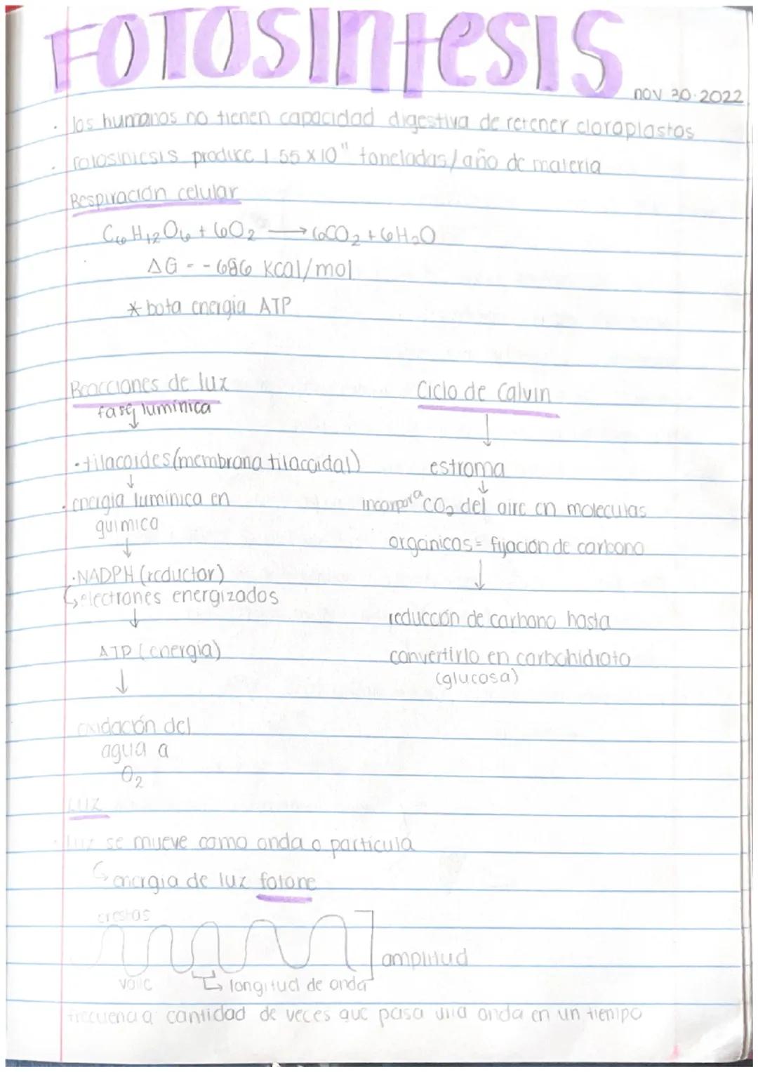 # Folosintesis

✓. urganismos que usan fotosintesis:

- planias

  - bactlengs
    (algunas)

* dinoflagelado crea bioluminiscencia *

  ↓

