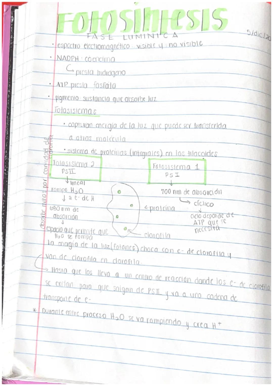 # Folosintesis

✓. urganismos que usan fotosintesis:

- planias

  - bactlengs
    (algunas)

* dinoflagelado crea bioluminiscencia *

  ↓

