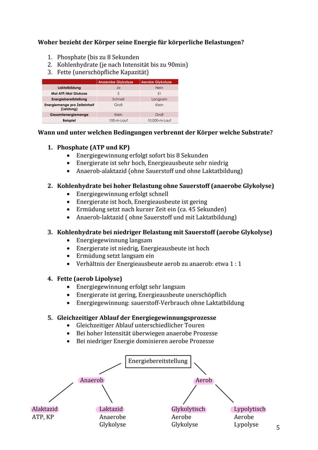 Lernzettel Sport Klausur

Themen:

- Muskelaufbau/-kontraktion & Energiebereitstellung
- Muskelfaserarten (ST- & FT-Fasern)
- Anpassung des 
