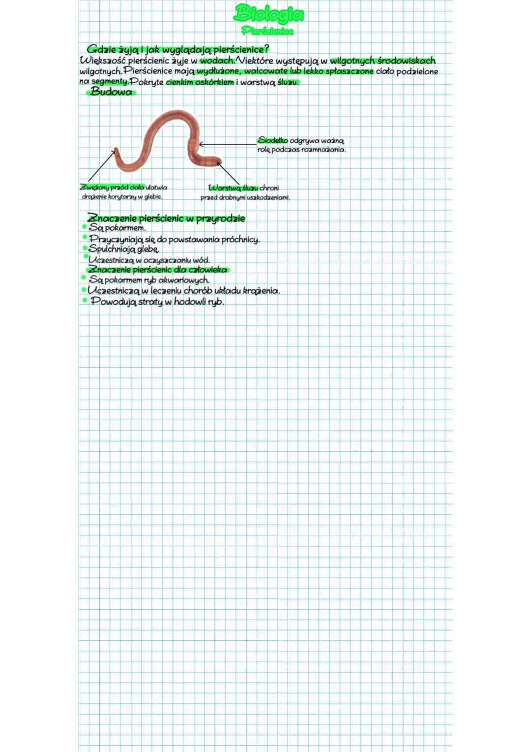 # Biologia

Gdzie żyją i jak wyglądają pierścienice?
Większość pierścienic żyje w wodach. Niektóre występują w wilgotnych środowiskach
wilgo