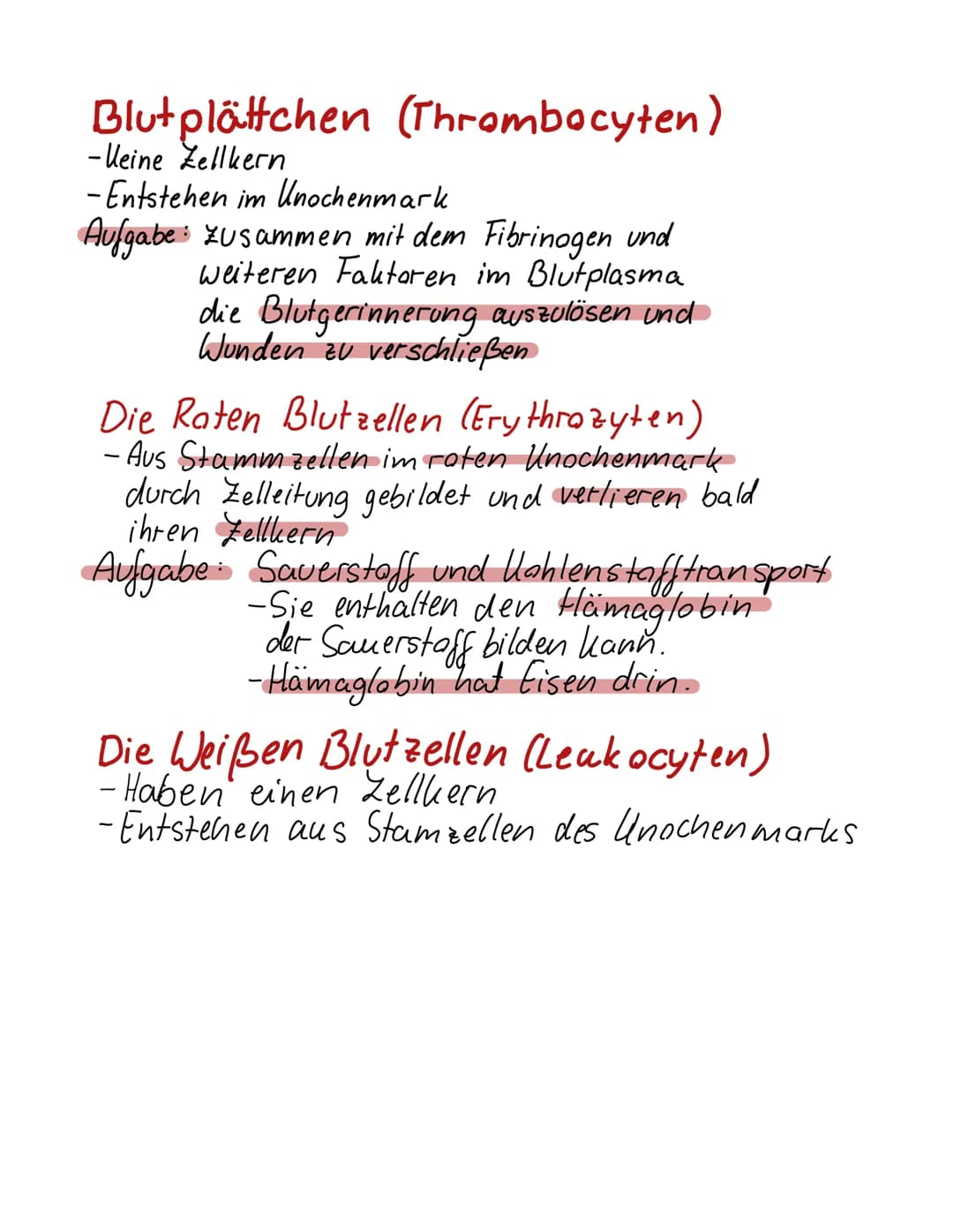 Roten Blutkörperchen
(Erythrocyten)

Weißen Blutkörperchen
(leukocyten)

Thrombozyte
(aktiviert)
Erythrozyt

DAS BLUF

Blutmenge: 5-7 Liter 