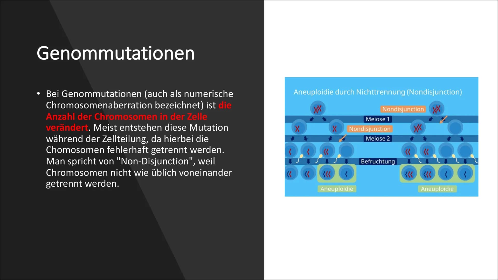 Erbkrankheiten Gliederung

• Was sind Erbkrankheiten?
• Wie entstehen sie?
• Arten der Mutation
• Die drei Unterteilungen der
Erbkrankheiten