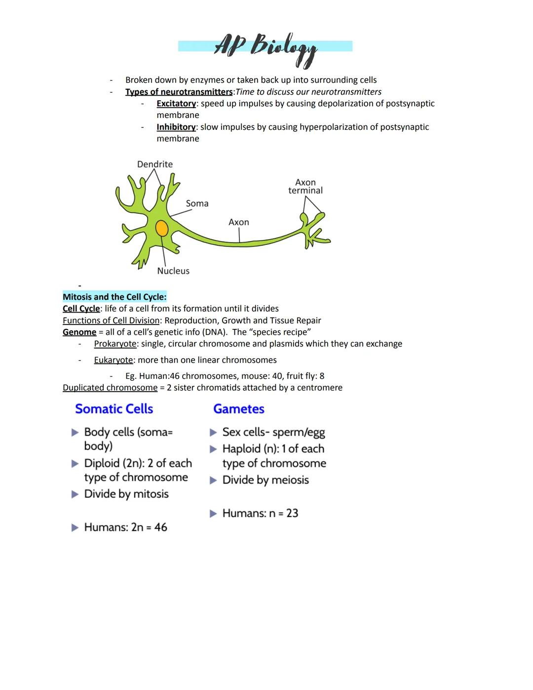 # AP Biology

Unit 4:
Amplification -- to increase a signal
Kinases -- enzymes that move
Transcription -- turning on DNA to make a needed pr