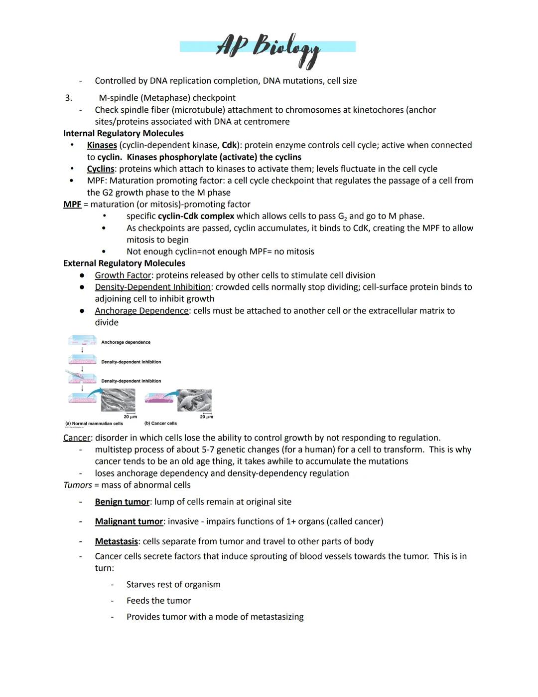 # AP Biology

Unit 4:
Amplification -- to increase a signal
Kinases -- enzymes that move
Transcription -- turning on DNA to make a needed pr