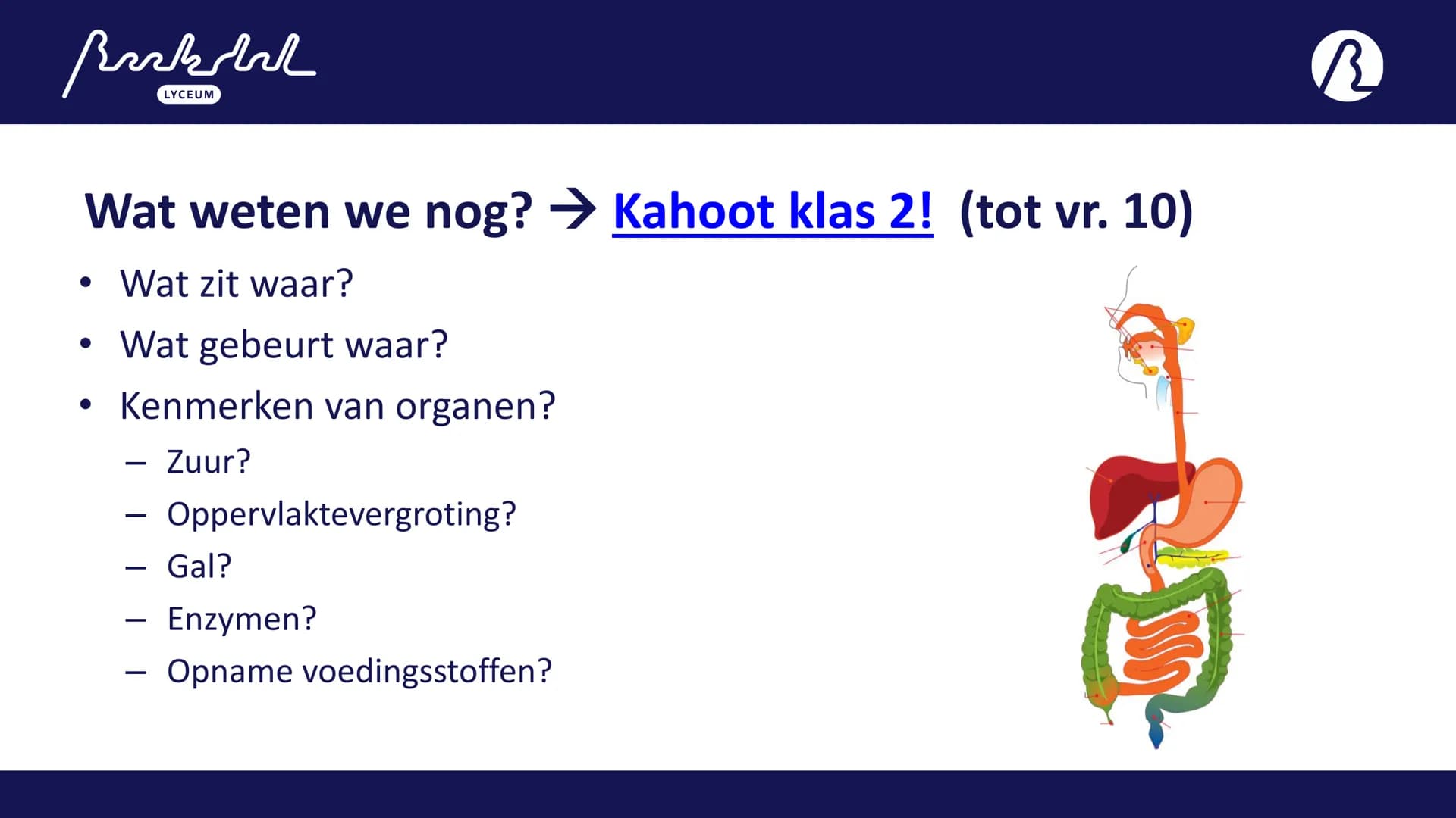 Bark
LYCEUM

11.1
Voeding
Toetsweek 1 (РТА 10%)
H10 Bloedsomloop
H11 Voeding en vertering Bak
LYCEUM

Vandaag 11.1

- 11.1 Voeding
- HW =
A: