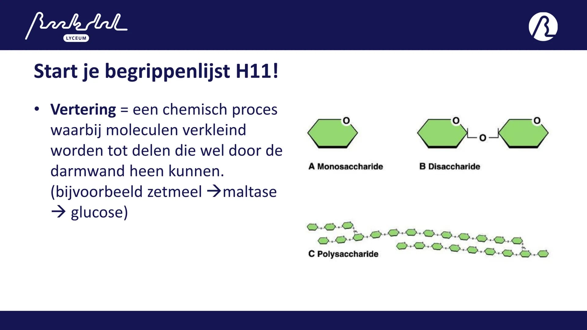 Bark
LYCEUM

11.1
Voeding
Toetsweek 1 (РТА 10%)
H10 Bloedsomloop
H11 Voeding en vertering Bak
LYCEUM

Vandaag 11.1

- 11.1 Voeding
- HW =
A: