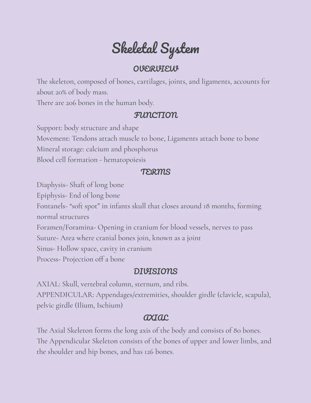 # Skeletal System

## OVERVIEW

The skeleton, composed of bones, cartilages, joints, and ligaments, accounts for
about 20% of body mass.
The