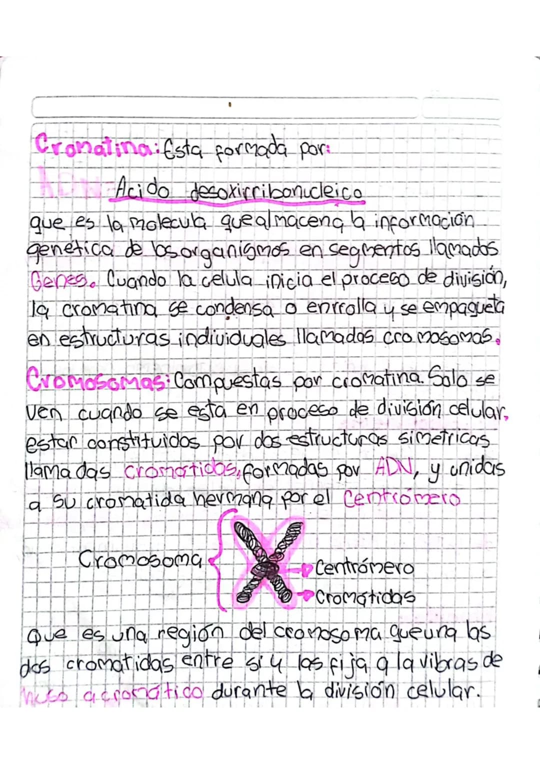 # Núcleo Celular

Es una estructura de forma esferica u ovoide, que
Se ubica generalmente en el centro de la célula
eucariota y almacena la 