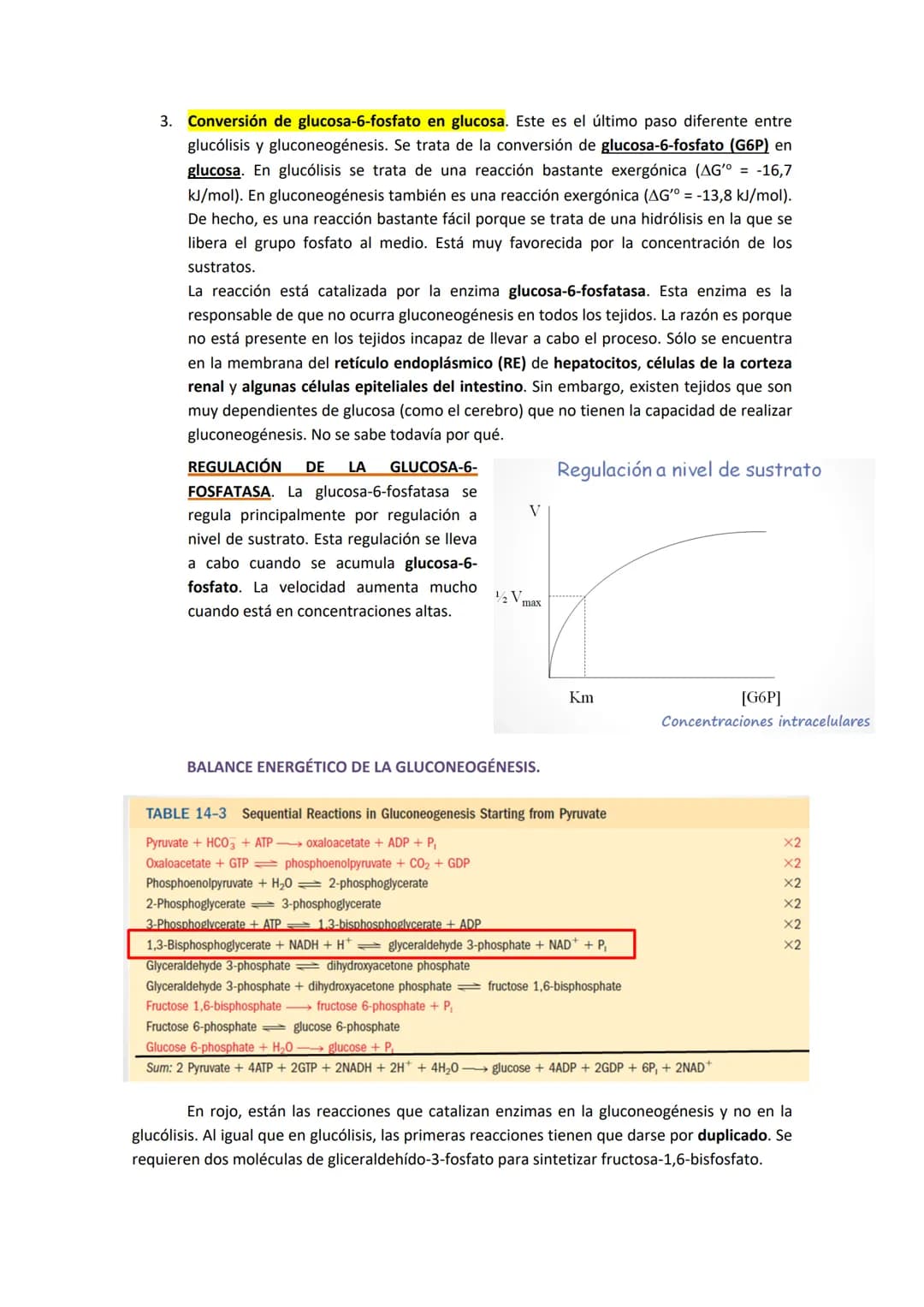 TEMA 7. GLUCONEOGENESIS Y SU REGULACIÓN

1. INTRODUCCIÓN A LA SÍNTESIS DE GLUCOSA.

La cantidad de glucosa que los tejidos tienen es destina