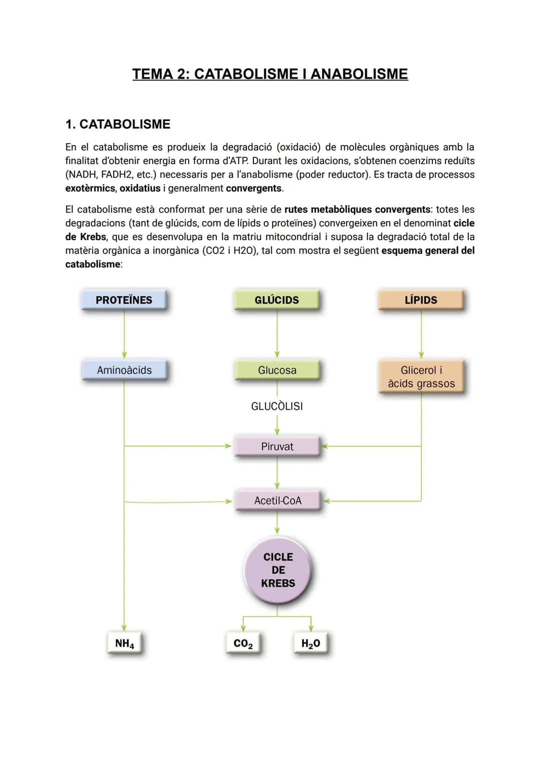 TEMA 2: CATABOLISME I ANABOLISME

1. CATABOLISME

En el catabolisme es produeix la degradació (oxidació) de molècules orgàniques amb la
fina
