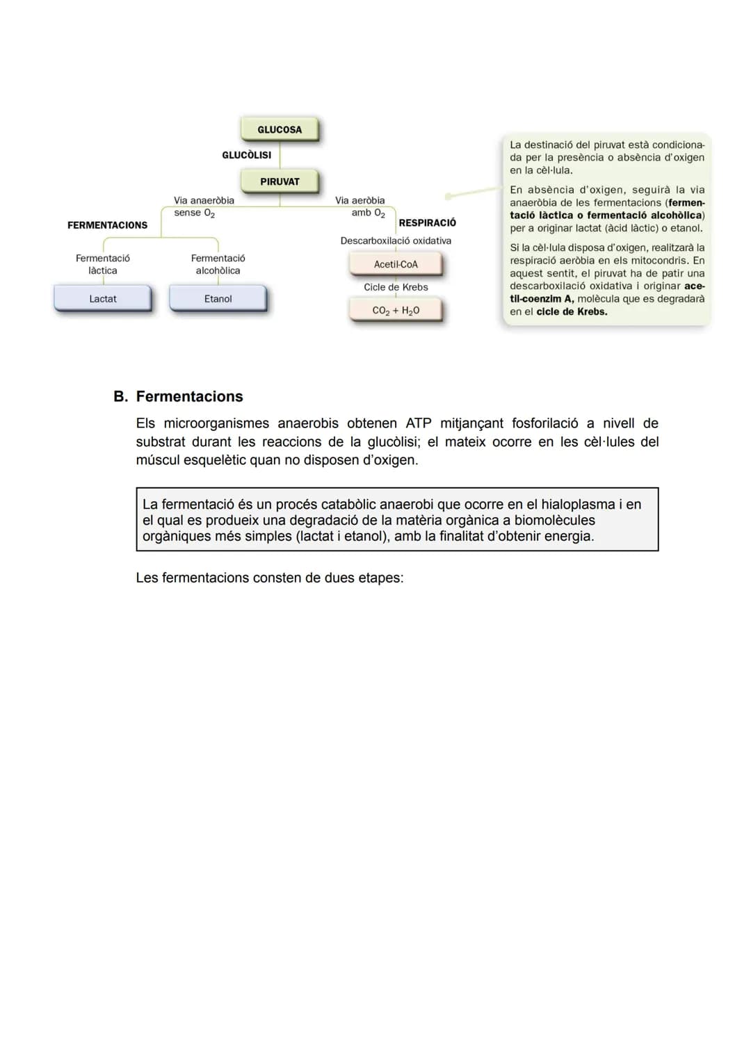 TEMA 2: CATABOLISME I ANABOLISME

1. CATABOLISME

En el catabolisme es produeix la degradació (oxidació) de molècules orgàniques amb la
fina