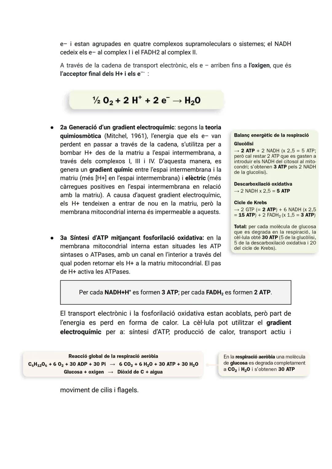 TEMA 2: CATABOLISME I ANABOLISME

1. CATABOLISME

En el catabolisme es produeix la degradació (oxidació) de molècules orgàniques amb la
fina