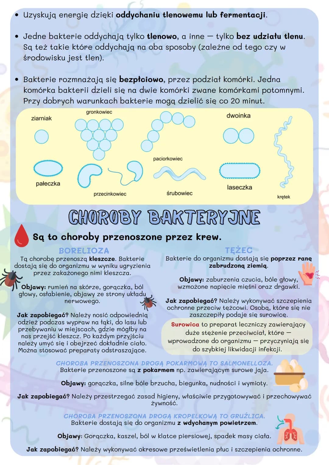 # BAKTERIE, WIRUSY, PROTISTY
# I GRZYBY

## KLASYFIKACJA ORGANIZMÓW

Systematyka to dziedzina biologii, która zajmuje się opisywaniem,
klasy