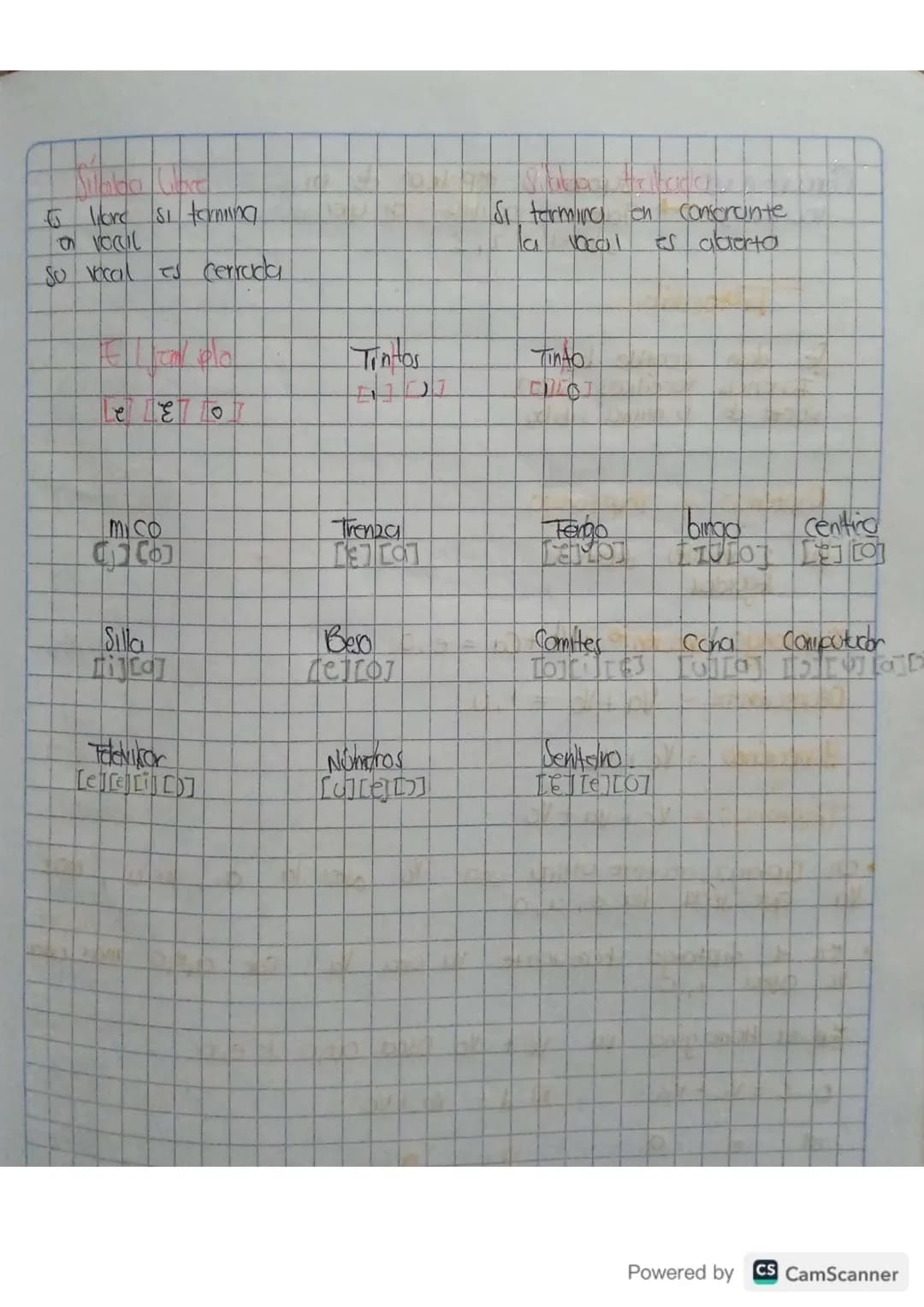 - liore si terning
- O VOCIL
- su vecal es cerrada
- Si termina on confcrunte
- la vocal es abierto
- Tintos
- Tinto
- Mico
- Trenza
- Fergo