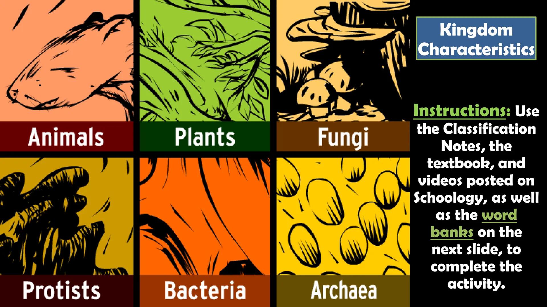 Animals

Plants

Fungi

Protists

Bacteria

Archaea

Kingdom
Characteristics

Instructions: Use
the Classification
Notes, the
textbook, and
