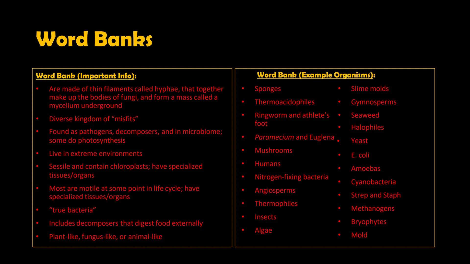 Animals

Plants

Fungi

Protists

Bacteria

Archaea

Kingdom
Characteristics

Instructions: Use
the Classification
Notes, the
textbook, and
