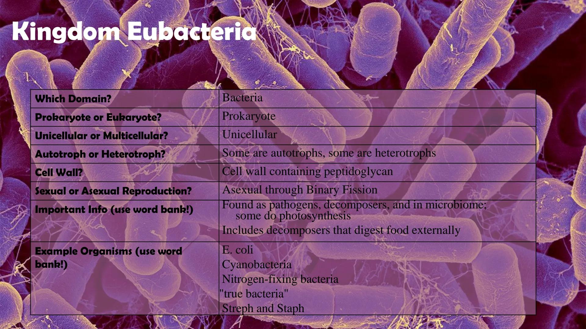 Animals

Plants

Fungi

Protists

Bacteria

Archaea

Kingdom
Characteristics

Instructions: Use
the Classification
Notes, the
textbook, and
