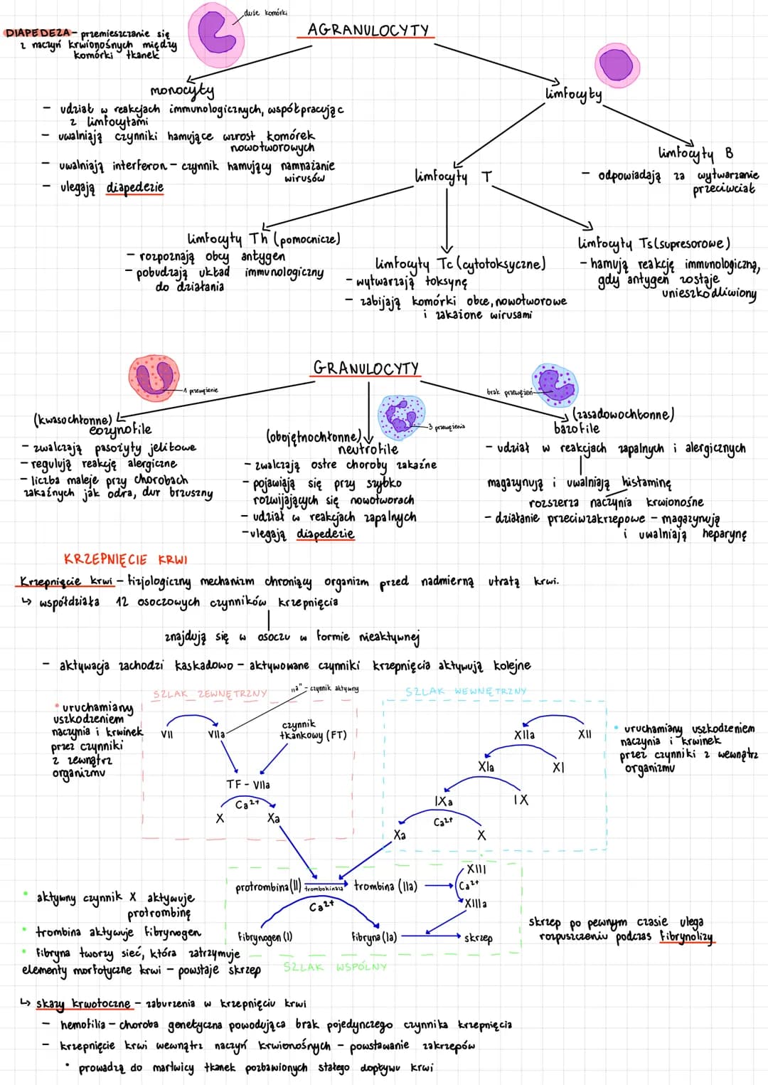 S 14 7.7 3.2 1:17 25 556 13.5
TV TOT
Orout Type
14 2009
UKŁAD
SPONT
50 %
INVASIVE
SPONT
APNEA ALARM
81
NELLCOR PURITAN BENNETT
KRWIONOŚNY
AC