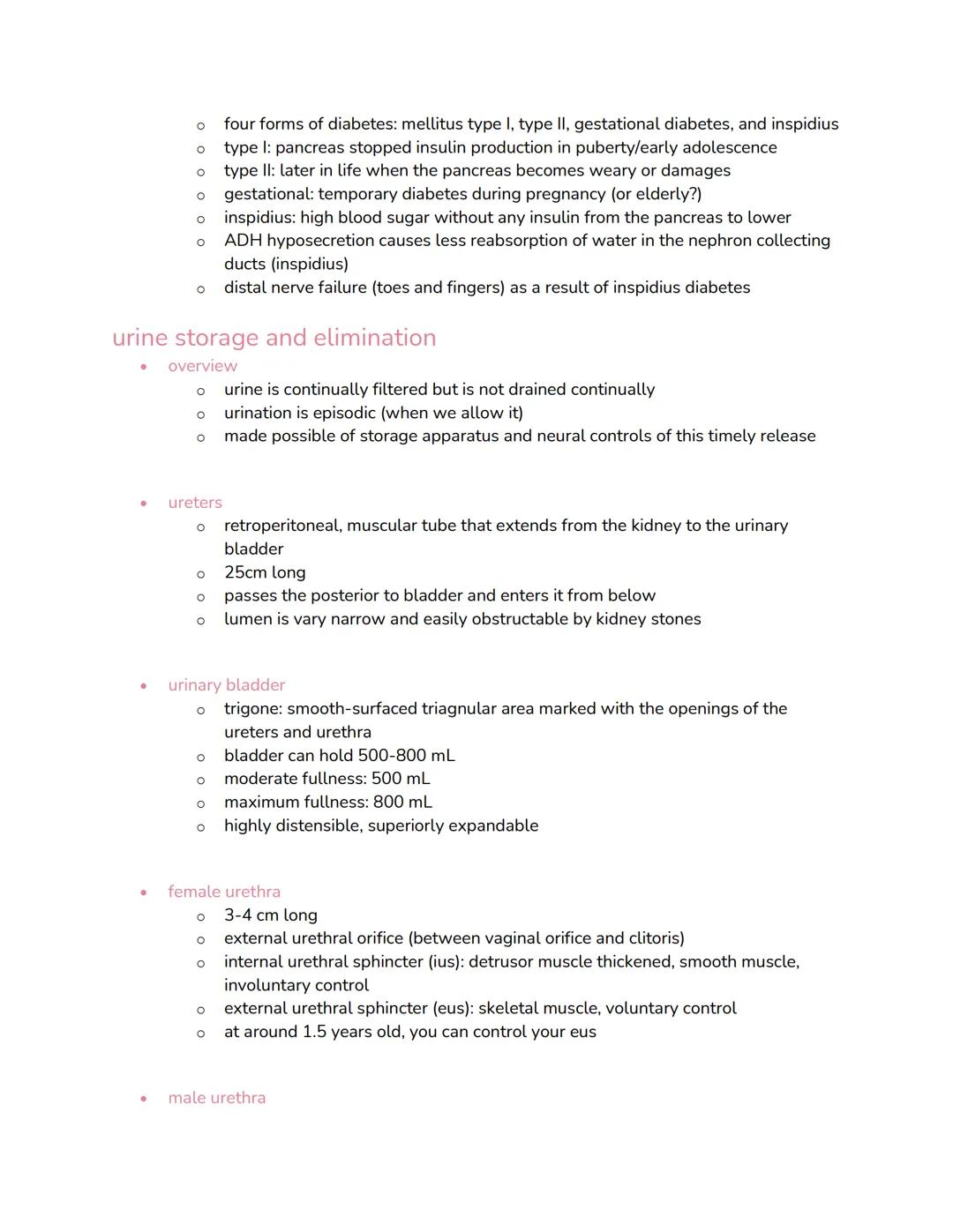 chapter 23: urinary

functions
*   organs
    *   two kidneys + two ureters + urinary bladder + urethra
    *   kidneys > ureters > bladders