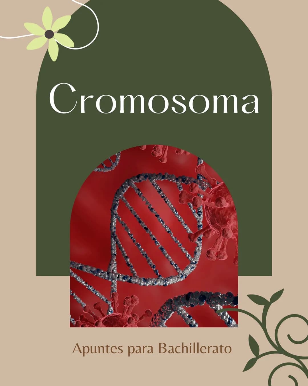 # Cromosoma

Apuntes para Bachillerato TEMA MATERIA

DIA MES AÑO

Cromoso m

Tiene principalmente 2
partes. En el interior
de la célula se
E