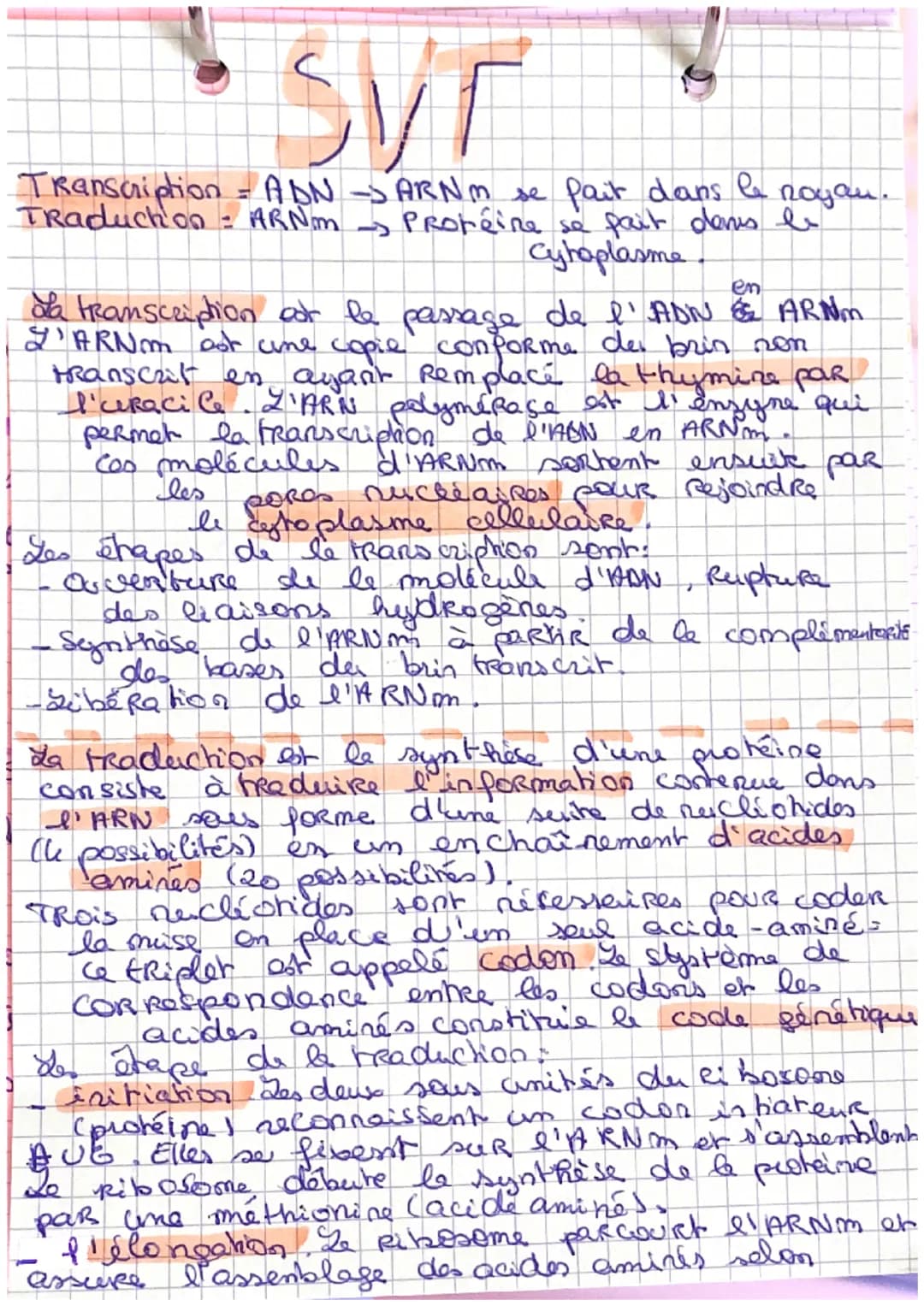 Syr

Transcription ADN ARNm se fait dans le noyau.
Traduchion: ARNm Protéine se fait dans le
Cytoplasme

en
da transcription cor le passage 