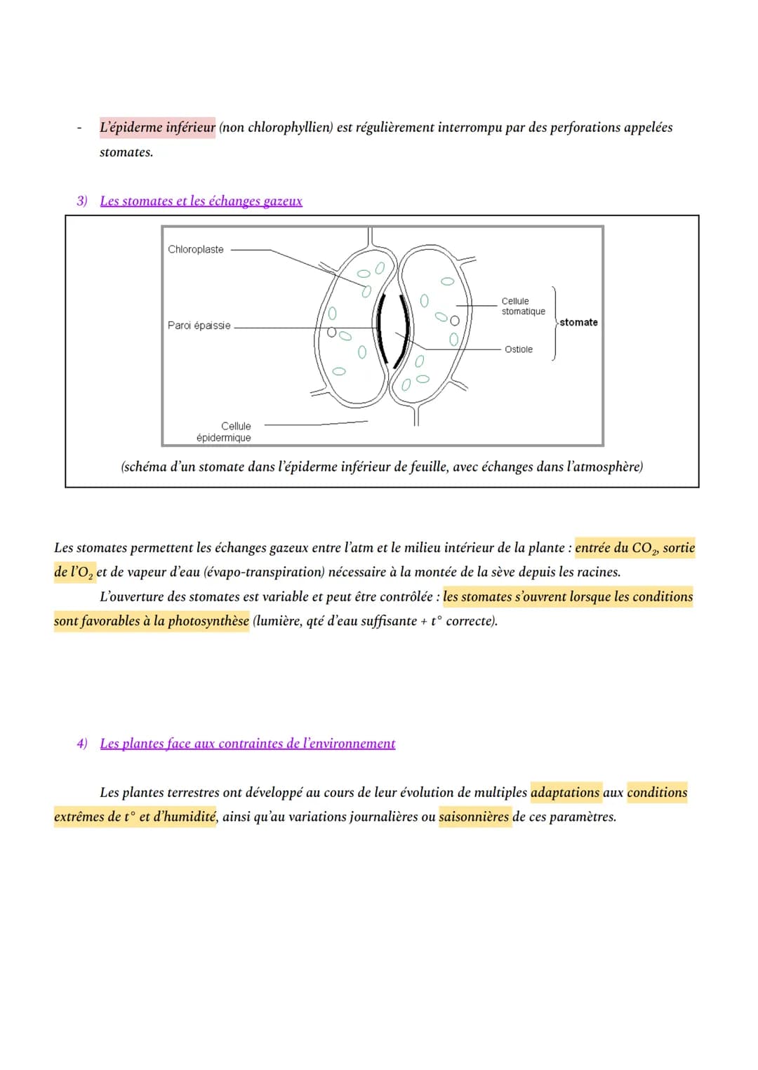 # CHAPITRE 1: L'ORGANISATION FONCTIONNELLE DES PLANTES À FLEURS

INTRO: En milieu aérien, les plantes à fleurs constituent le principal grou