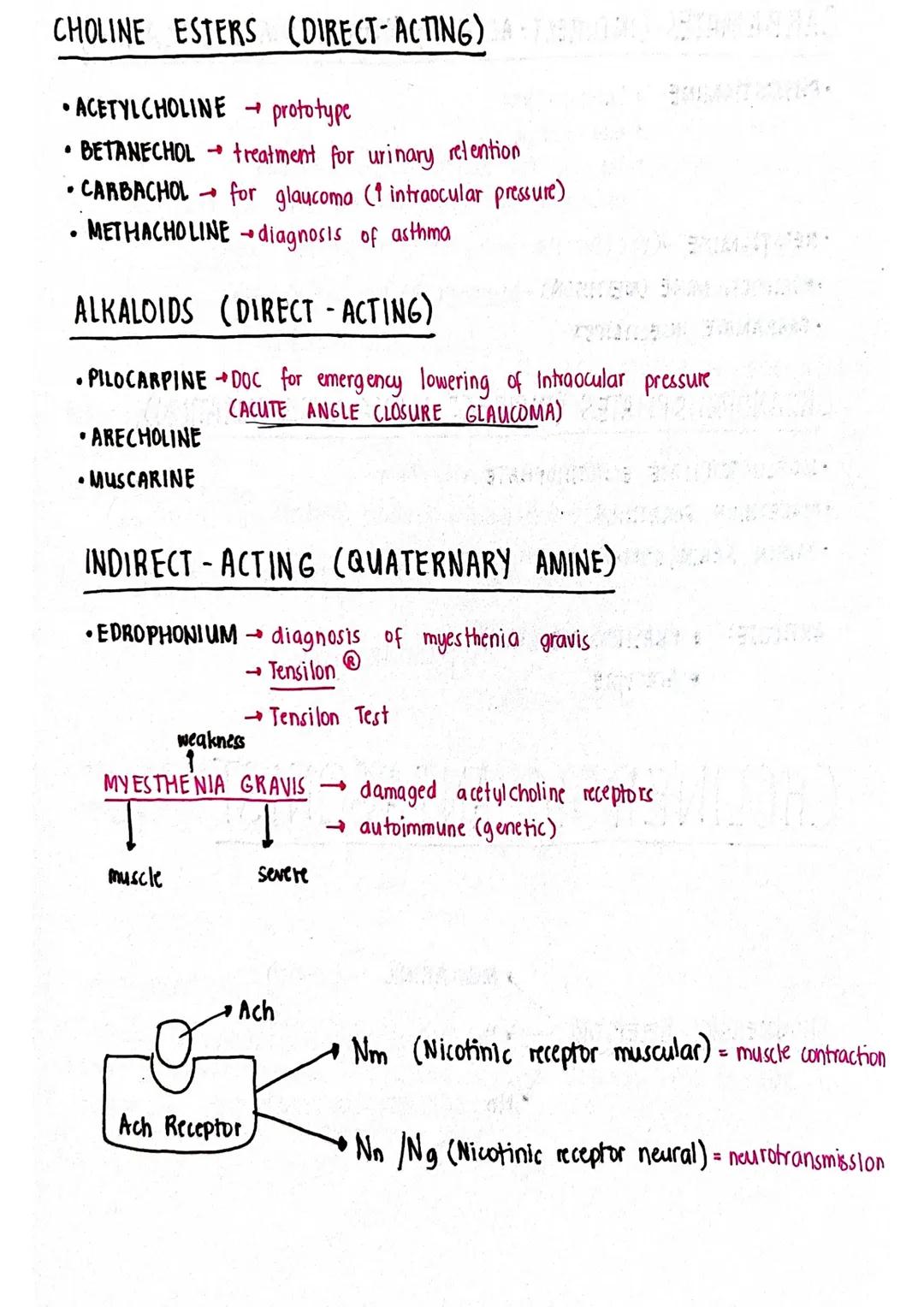 # ACETYLCHOLINE

CHOLINE
NA

CHOLINE
Na

ACCOB

1 SYNTHESIS
OF
ACETYLCHOLINE

RECYCLING
OF CHOLINE

Ca2t Bo Cazr

ACETYL CHOLINE

SYNAPTIC
V