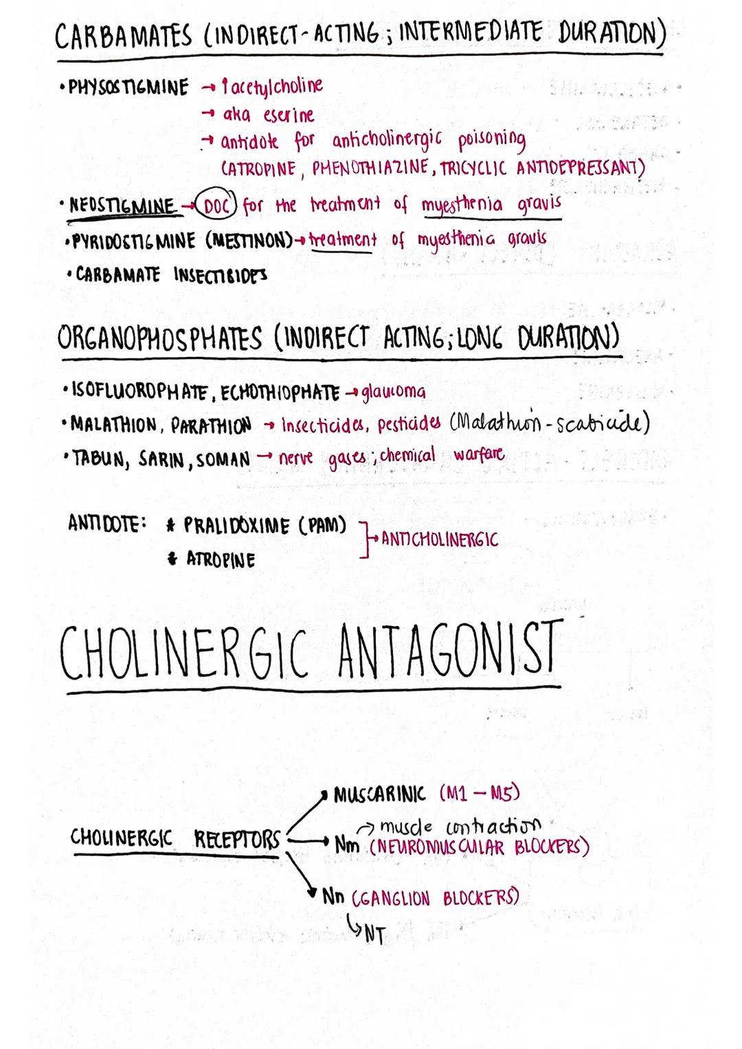 # ACETYLCHOLINE

CHOLINE
NA

CHOLINE
Na

ACCOB

1 SYNTHESIS
OF
ACETYLCHOLINE

RECYCLING
OF CHOLINE

Ca2t Bo Cazr

ACETYL CHOLINE

SYNAPTIC
V