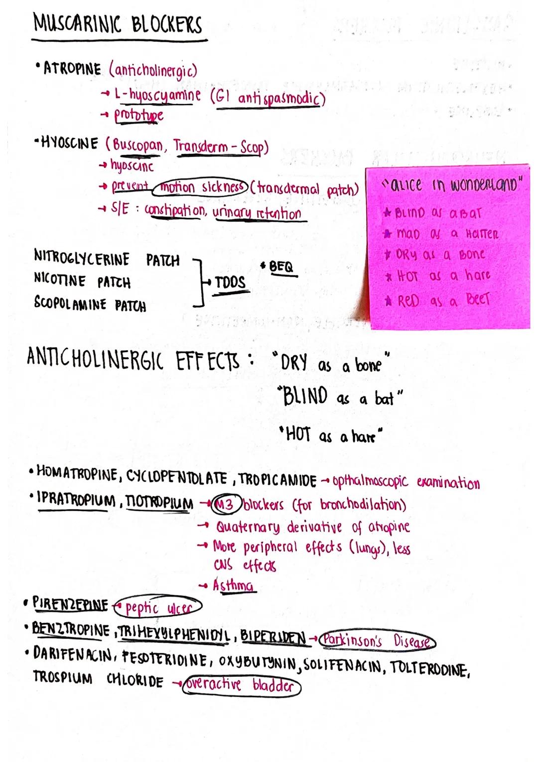 # ACETYLCHOLINE

CHOLINE
NA

CHOLINE
Na

ACCOB

1 SYNTHESIS
OF
ACETYLCHOLINE

RECYCLING
OF CHOLINE

Ca2t Bo Cazr

ACETYL CHOLINE

SYNAPTIC
V