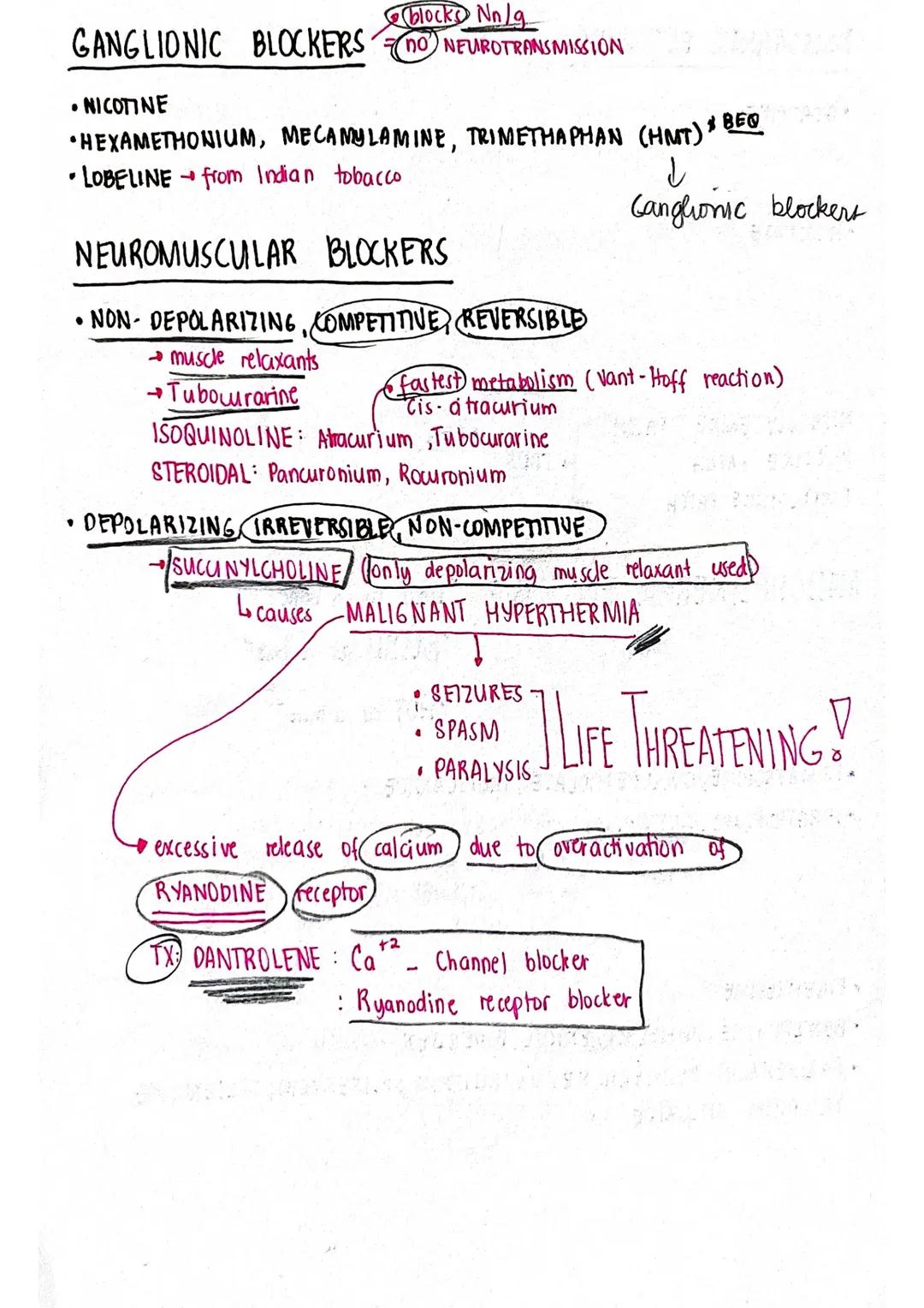 # ACETYLCHOLINE

CHOLINE
NA

CHOLINE
Na

ACCOB

1 SYNTHESIS
OF
ACETYLCHOLINE

RECYCLING
OF CHOLINE

Ca2t Bo Cazr

ACETYL CHOLINE

SYNAPTIC
V