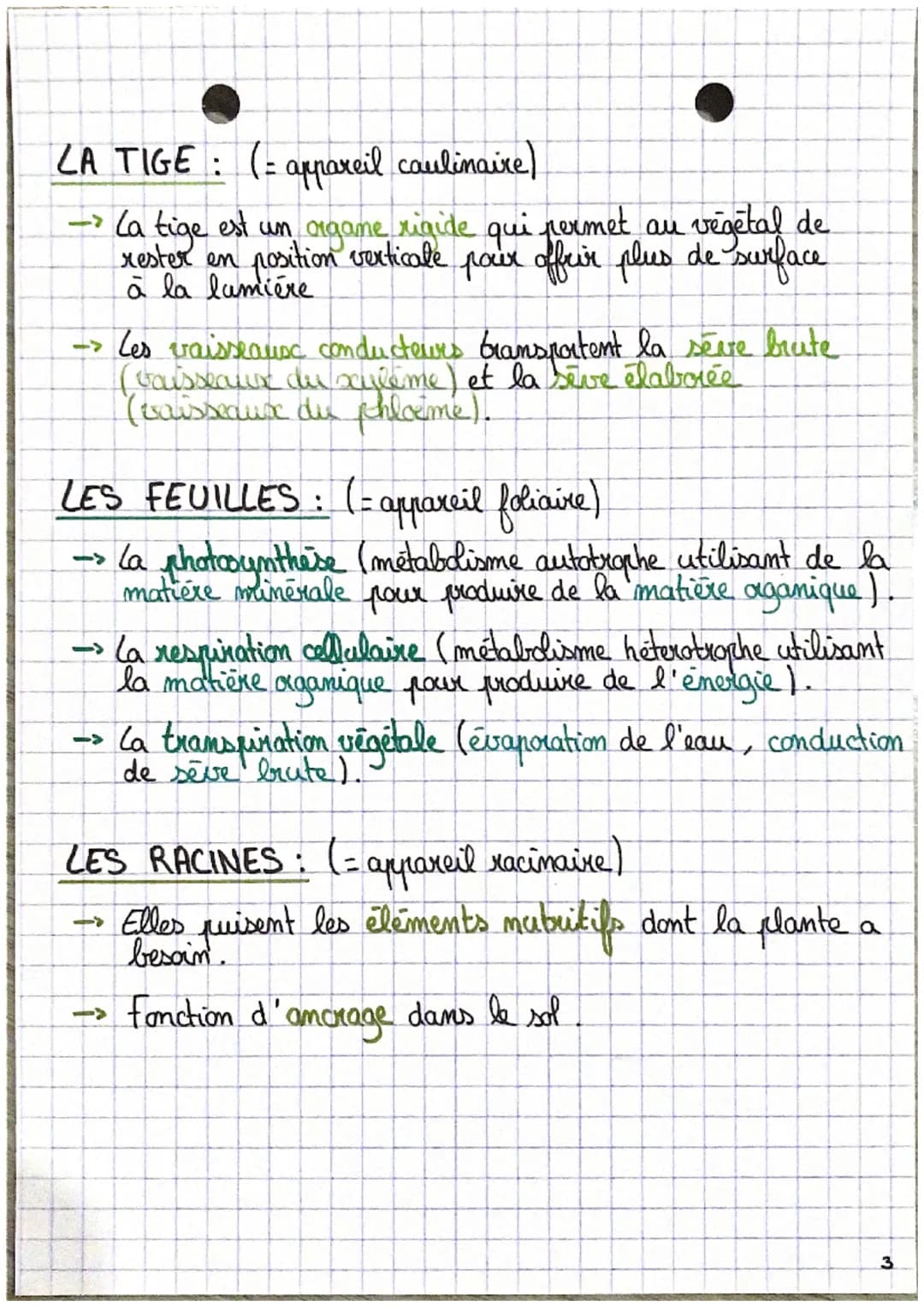 - SVT

L'organisation fonctionelle des plantes à fleur.

Emergie
lumineuse

CO₂

O₂
H₂O

Racines

Porbs absorbants

$6CO₂ + 6H₂O \rightarrow