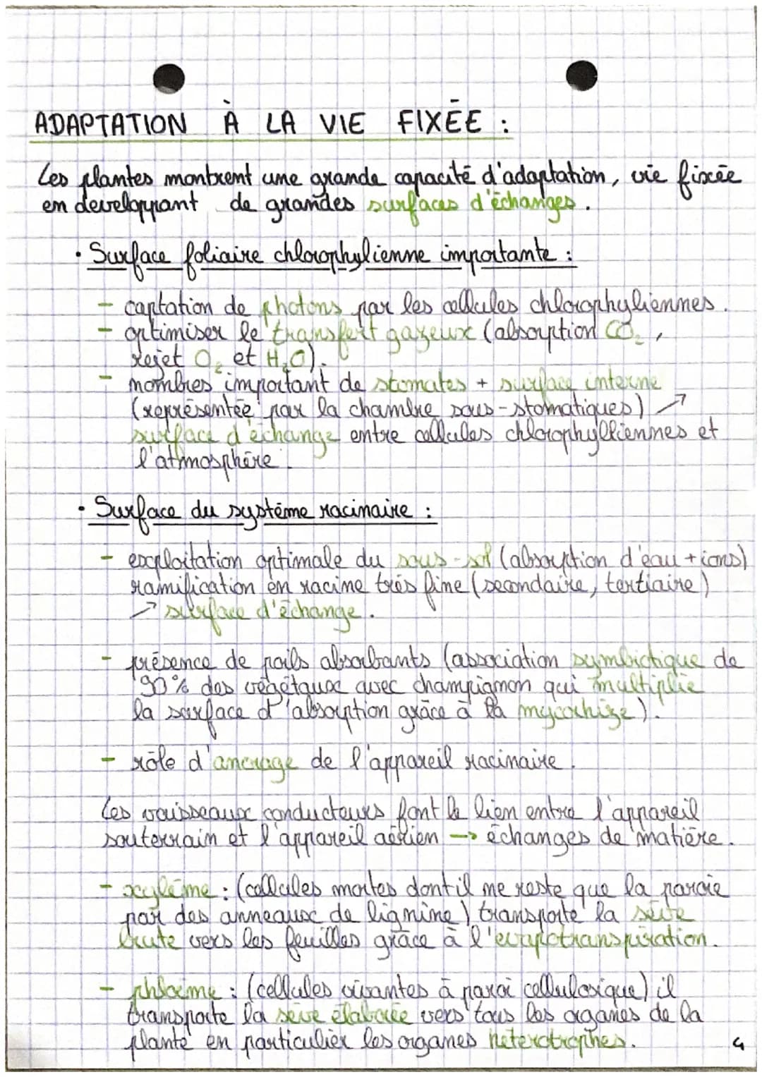 - SVT

L'organisation fonctionelle des plantes à fleur.

Emergie
lumineuse

CO₂

O₂
H₂O

Racines

Porbs absorbants

$6CO₂ + 6H₂O \rightarrow