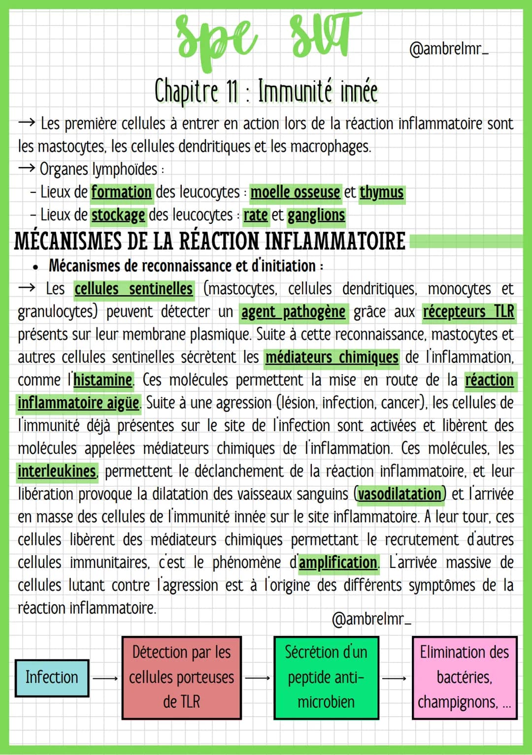 spe sut

Chapitre 11 : Immunité innée

LA RÉACTION INFLAMMATOIRE

Globules blancs = leucocytes : Cellules immunitaires.

Vasodilatation: C'e