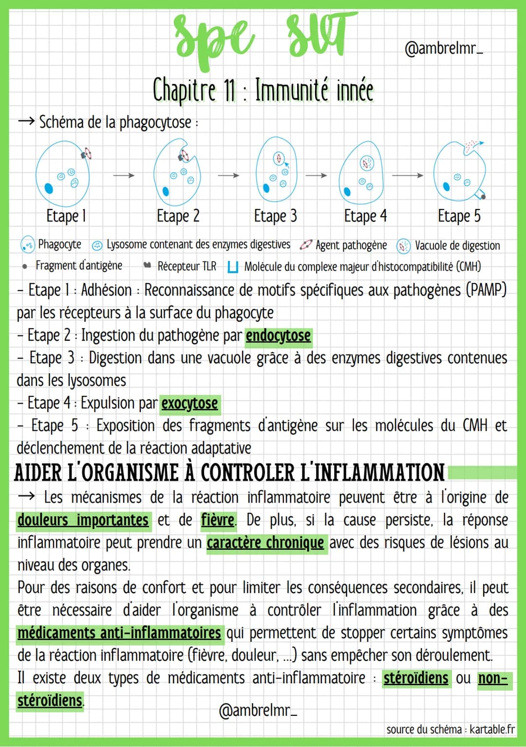 spe sut

Chapitre 11 : Immunité innée

LA RÉACTION INFLAMMATOIRE

Globules blancs = leucocytes : Cellules immunitaires.

Vasodilatation: C'e