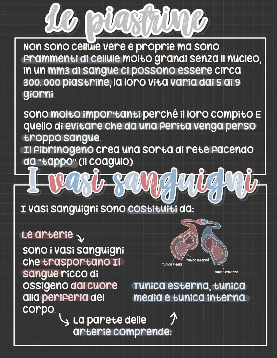 # L'apparato circolatorio

L' apparato circolatorio distribuisce nutrimenti
e ossigeno alle cellule.
Fornisce sia i vasi sanguigni sia le ce