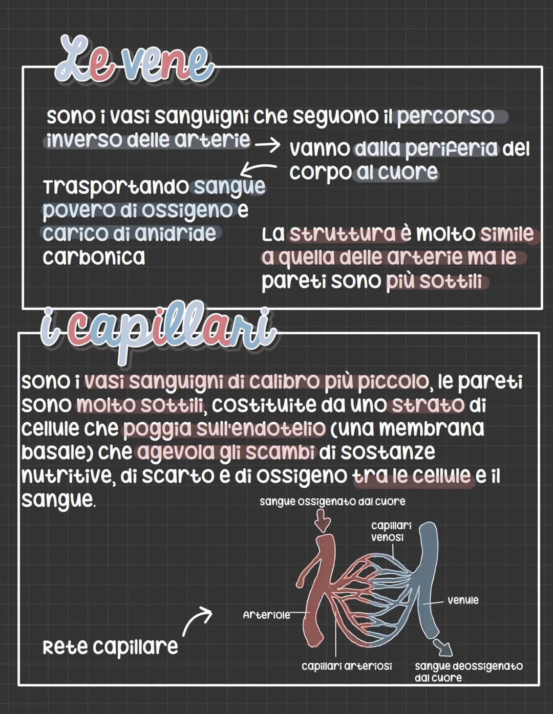 # L'apparato circolatorio

L' apparato circolatorio distribuisce nutrimenti
e ossigeno alle cellule.
Fornisce sia i vasi sanguigni sia le ce