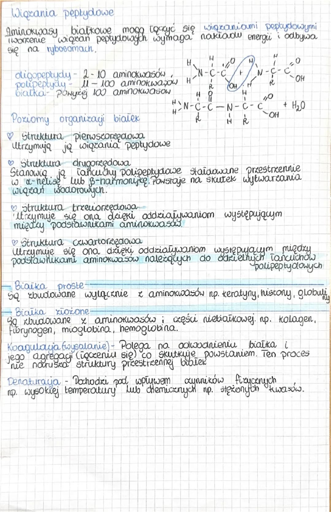 # biologia

Aminokwasy Budowa i funkcje białek.

Aminokwasy

Aminokwasy są zbudowane z węgla (C), wodur (H), tlenu (0)
i azotu(N)
(N). W nie