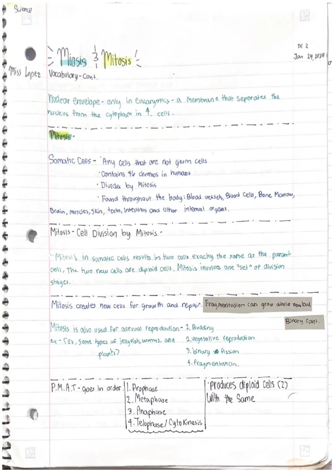 Miasis 3 Mitosis

Miss Lopez

SVOCABULARY

Cell-smallest structural and functional unit of an organism.
Our bodies are made up of them.

Cel