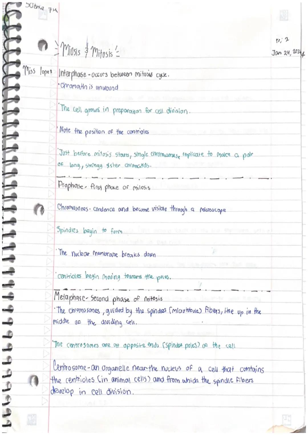 Miasis 3 Mitosis

Miss Lopez

SVOCABULARY

Cell-smallest structural and functional unit of an organism.
Our bodies are made up of them.

Cel