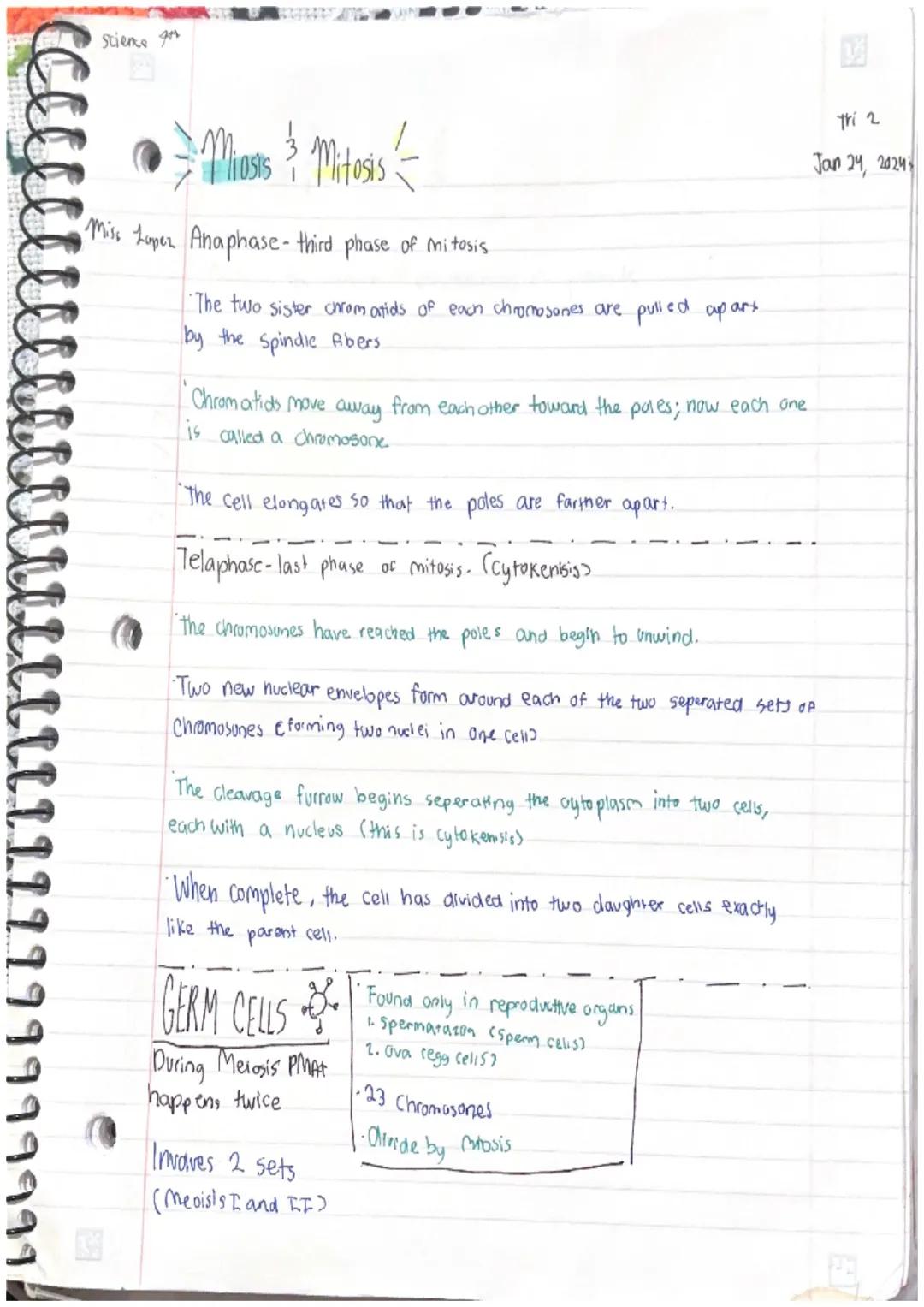 Miasis 3 Mitosis

Miss Lopez

SVOCABULARY

Cell-smallest structural and functional unit of an organism.
Our bodies are made up of them.

Cel