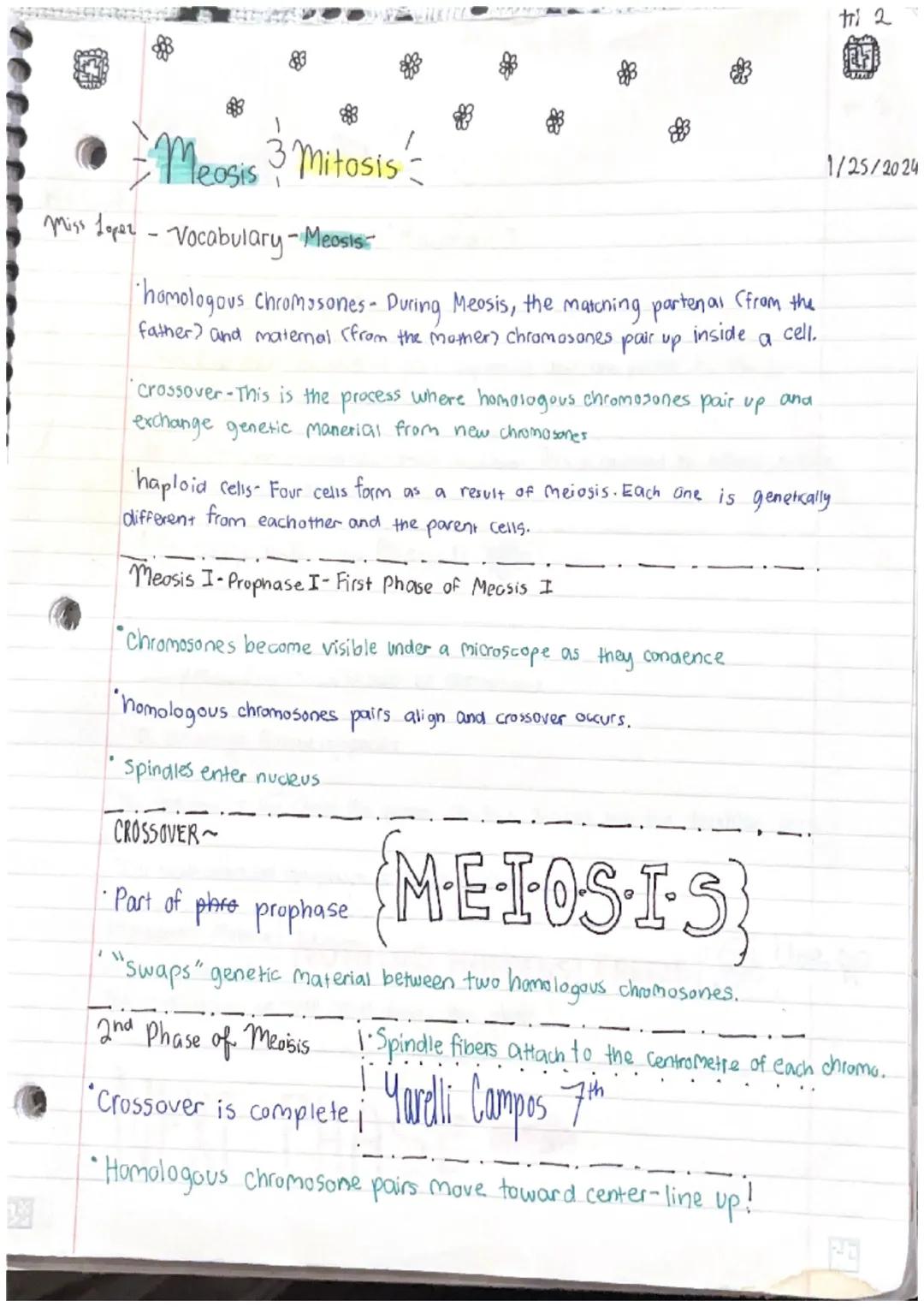 Miasis 3 Mitosis

Miss Lopez

SVOCABULARY

Cell-smallest structural and functional unit of an organism.
Our bodies are made up of them.

Cel