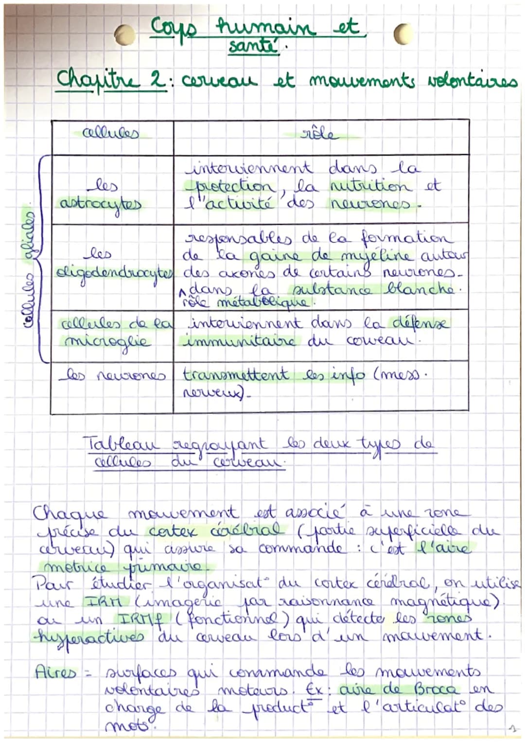 # Coys humain et
santé.
C
# Chapitre 2: cerveau et mouvements volontaires

| cellules | rôle |
|---|---|
|les astrocytes| interviennent dans
