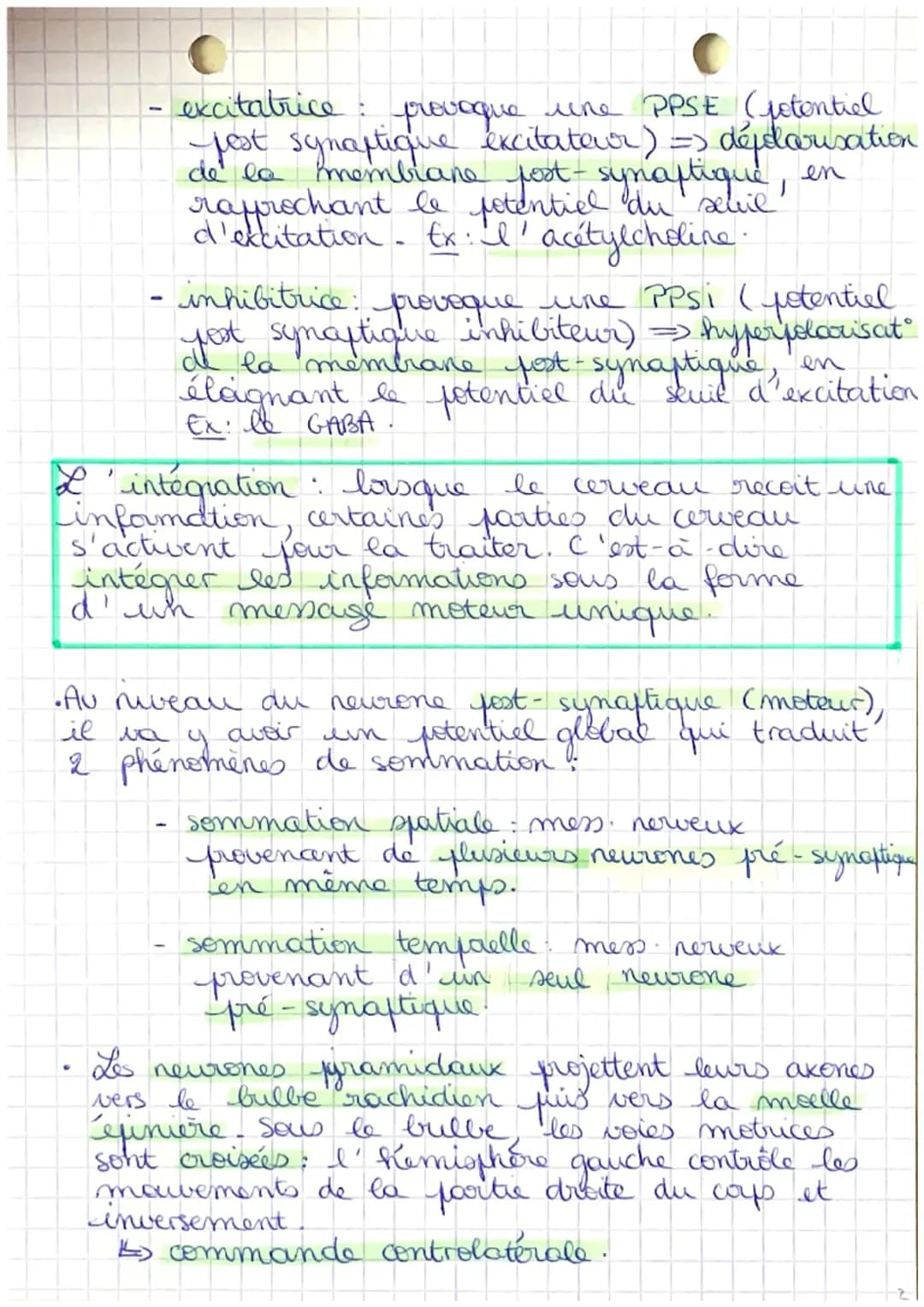 # Coys humain et
santé.
C
# Chapitre 2: cerveau et mouvements volontaires

| cellules | rôle |
|---|---|
|les astrocytes| interviennent dans