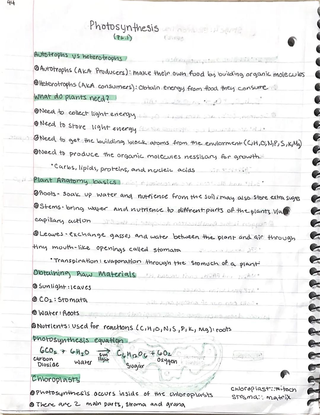 44
# Photosynthesis
(P.1)

*Autotrophs vs heterotrophs*

*   Autotrophs (AKA Producers): make their own food by building organic molecules
*