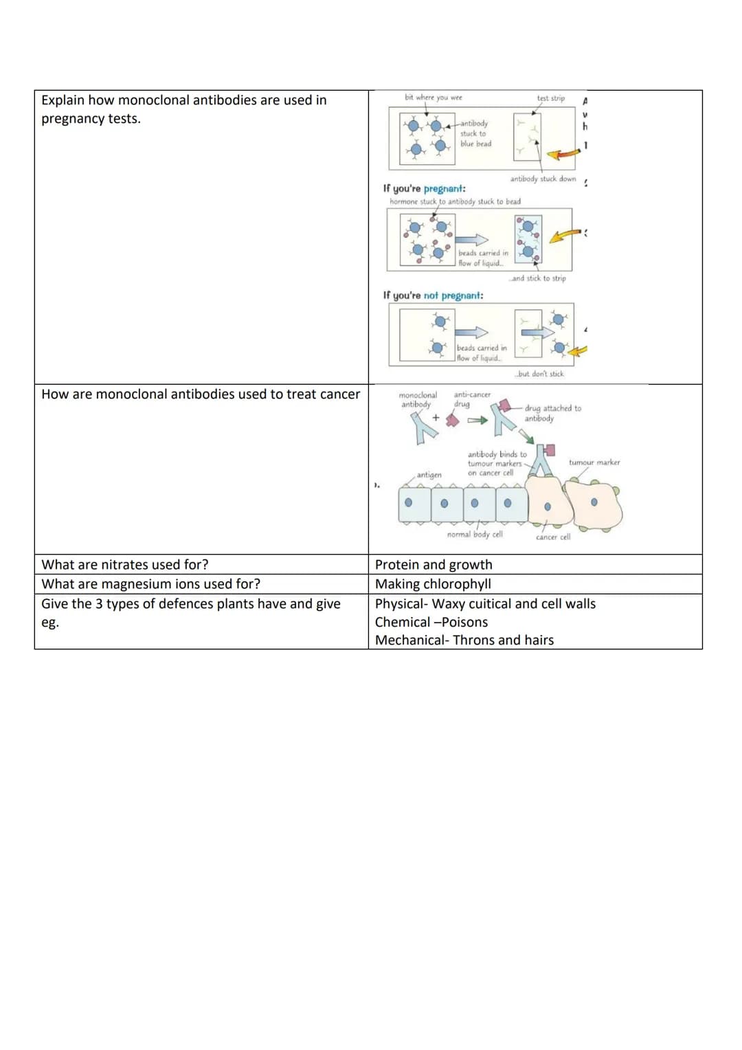 # Infection and response

Questions | Answers
--- | ---
What are pathogens? | Microorganisms that enter the body and cause disease.
What are