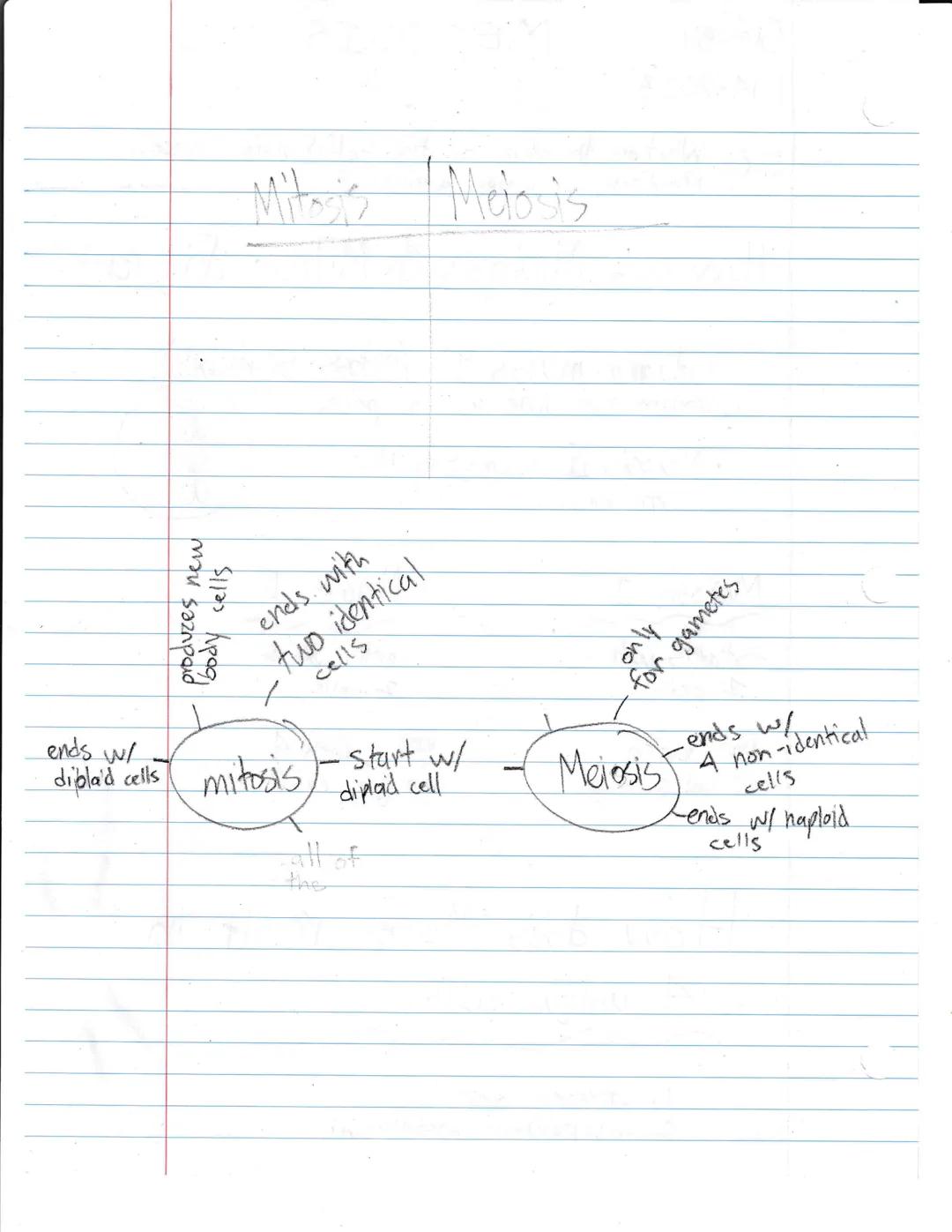 Biology
1-14-2023
MEIOSIS AND
CROSSING OVER
EQ: What are the steps of the cell division process
resulting in unique gamites?
How are Meiosis