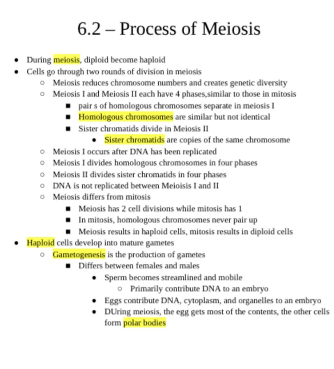 # 6.2 - Process of Meiosis

*   During meiosis, diploid become haploid
*   Cells go through two rounds of division in meiosis
    *   Meiosi