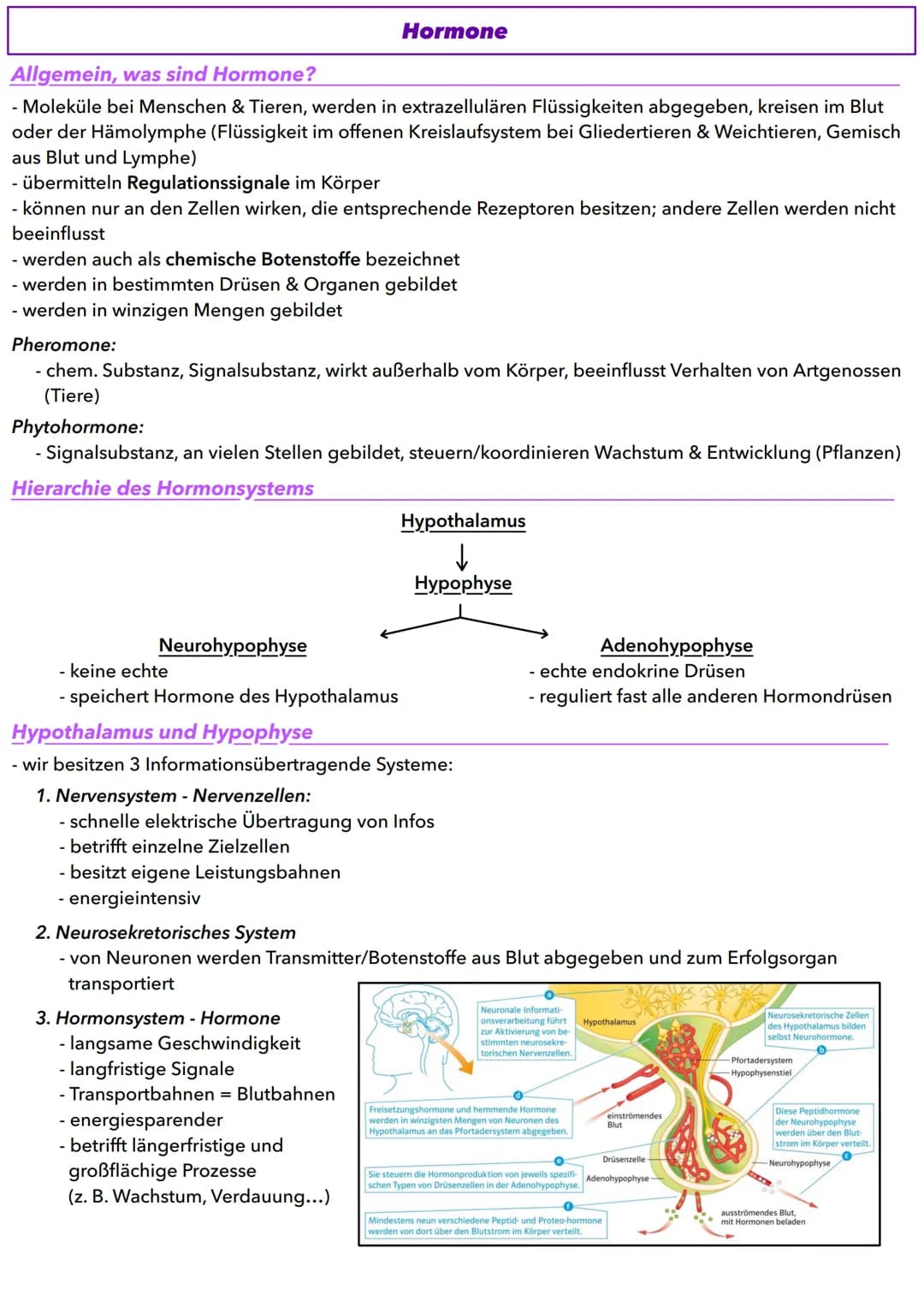 Hormone

Allgemein, was sind Hormone?

- Moleküle bei Menschen & Tieren, werden in extrazellulären Flüssigkeiten abgegeben, kreisen im Blut
