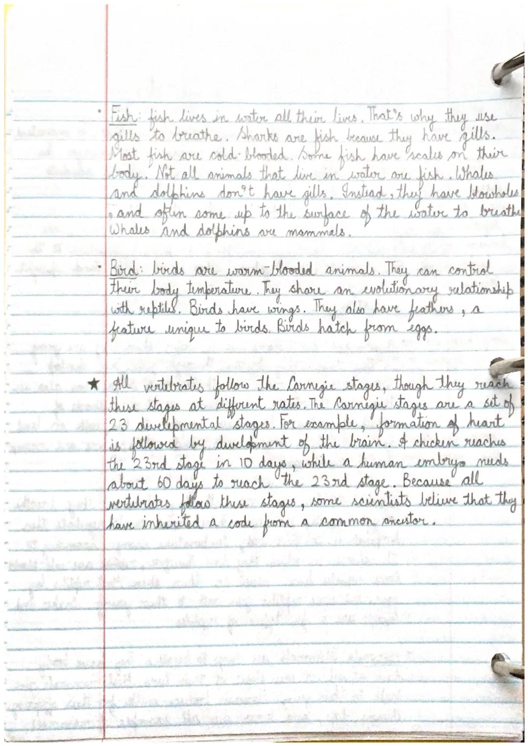 # Vertebrates and Invertibrates

- Embryology may help us determine wolutionary links. To understand
the links betwren organisms, scientists