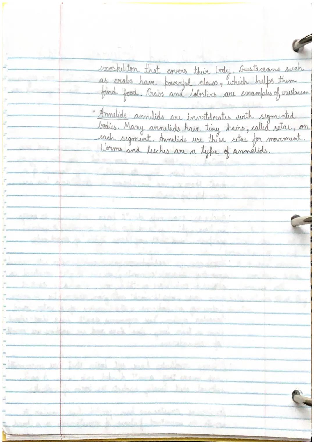 # Vertebrates and Invertibrates

- Embryology may help us determine wolutionary links. To understand
the links betwren organisms, scientists